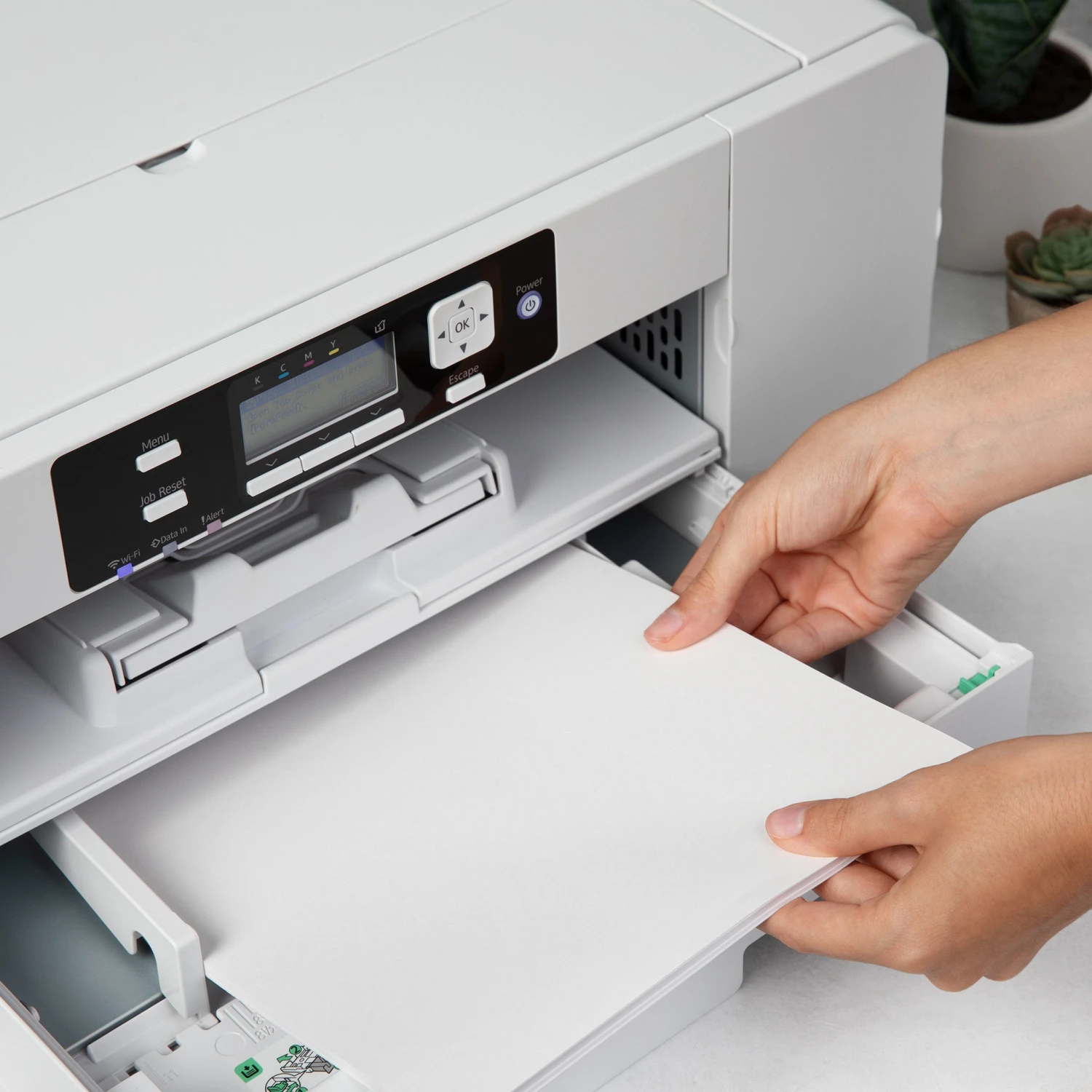 SAWGRASS SG1000 PRINTER W/ BYPASS TRAY BUNDLE 8 SAWGRASS SG1000 PRINTER W/ BYPASS TRAY BUNDLE – Bild 6